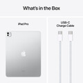 Apple iPad Pro 13&quot; Wi-Fi + Cellular mit Standardglas, 1TB, silber