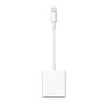 Apple USB-C auf SD Kartenlesegerät