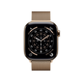 Apple Watch Series 11 GPS + Cellular, 42 mm Titangehäuse Gold, Milanaise Armband Gold