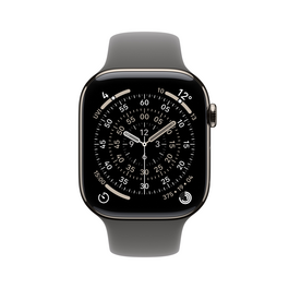 Apple Watch Series 11 GPS + Cellular, 46 mm Titangehäuse Natur, Sportarmband Steingrau - M/L