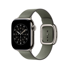 42 mm Armband mit Moderner Schließe Silbergrau - Large