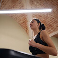 JBL Endurance RUN3, In-Ear-Sport-Kopfhörer mit Kabel, schwarz