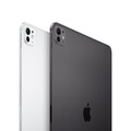 iPad Pro 13&quot; Wi-Fi mit Standardglas, 256GB, Space Schwarz