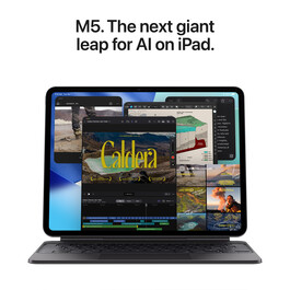 iPad Pro 13&quot; Wi-Fi mit Standardglas, 256GB, Space Schwarz