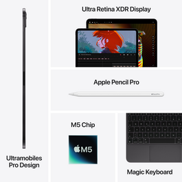 iPad Pro 13&quot; Wi-Fi mit Standardglas, 256GB, Space Schwarz
