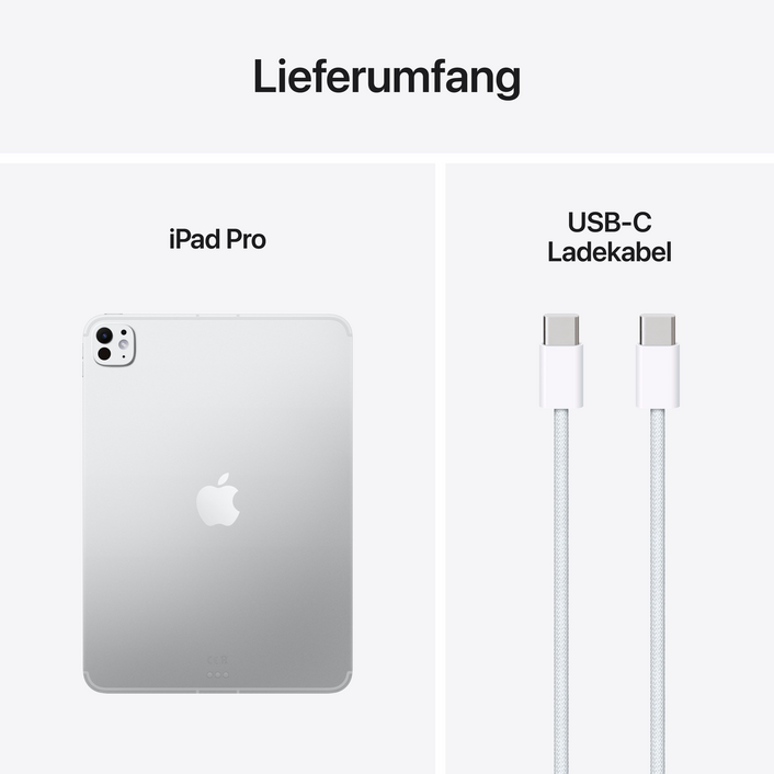iPad Pro 11" Wi-Fi + Cellular mit Standardglas, 512GB, Silber