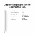 Apple Pencil (1st Generation)