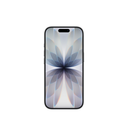 iPhone 17 256 GB Schwarz