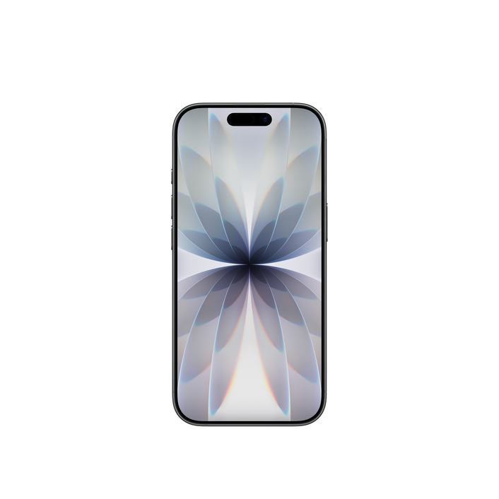 iPhone 17 256 GB Schwarz