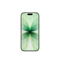 iPhone 17 512 GB Salbei
