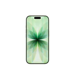 iPhone 17 512 GB Salbei