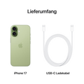 iPhone 17 512 GB Salbei