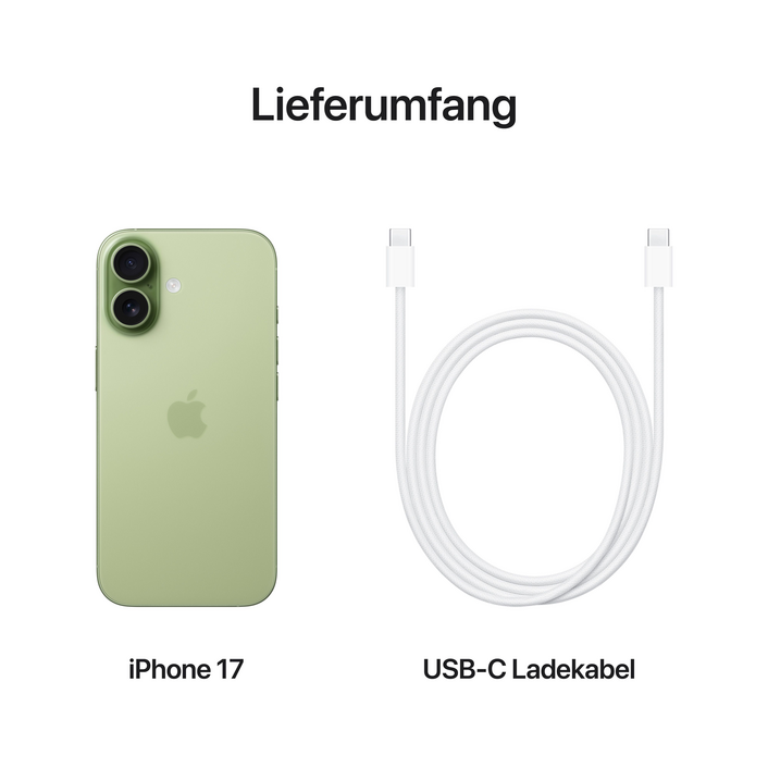 iPhone 17 512 GB Salbei