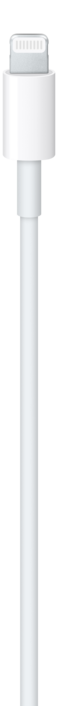 Apple USB-C auf Lightning Kabel (1m)