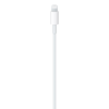 Apple USB-C auf Lightning Kabel (1m)