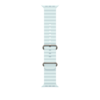 Apple Watch 49mm Ocean-Armband, kristallblau - Gehäusefarbe natur