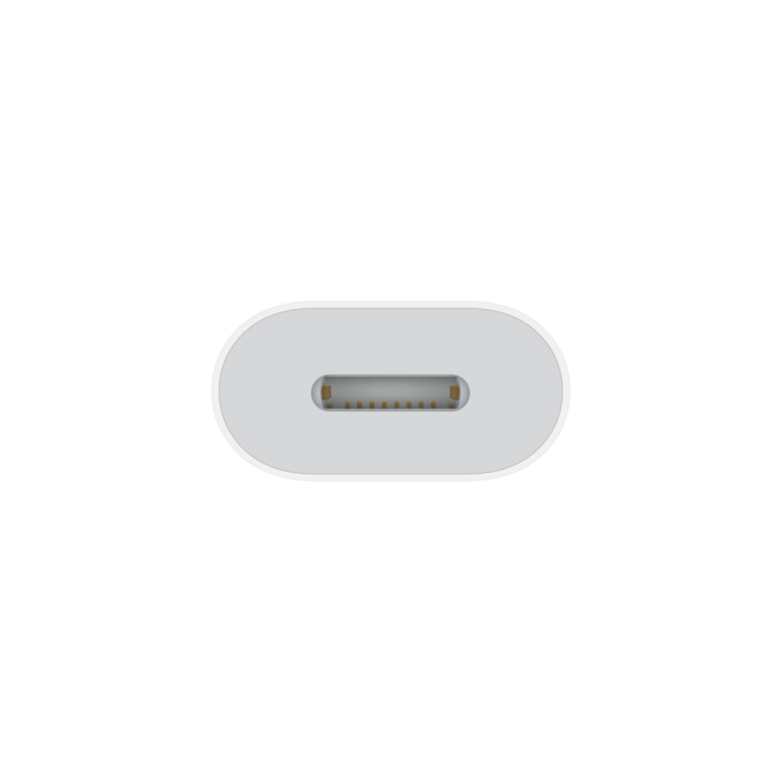 Apple USB-C zu Lightning Adapter