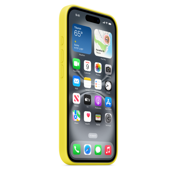 Apple iPhone 16 Silikon Case mit MagSafe, sternfrucht>