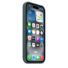 Apple iPhone 16 Silikon Case mit MagSafe, seegrün
