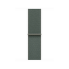 Apple Watch 42mm Sport Loop, salbeigrün>