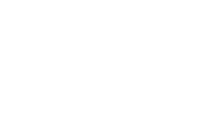 PanzerGlass Logo