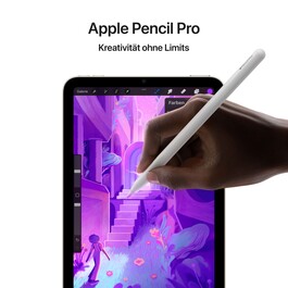 iPad mini Wi-Fi + Cellular 128 GB - Polarstern (A17 Pro)