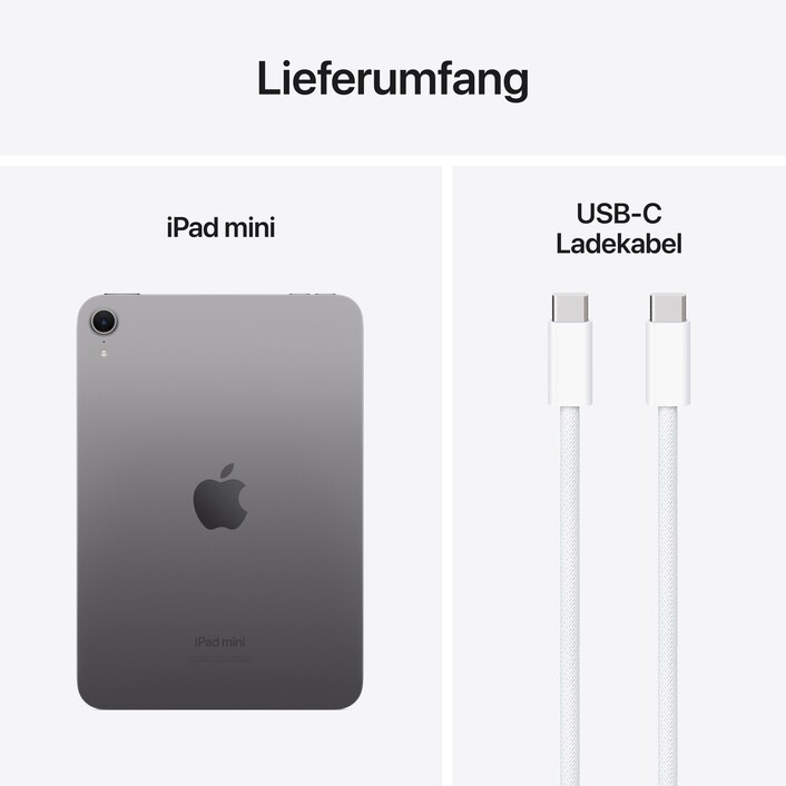 iPad mini Wi-Fi 256 GB - Space Grau (A17 Pro)