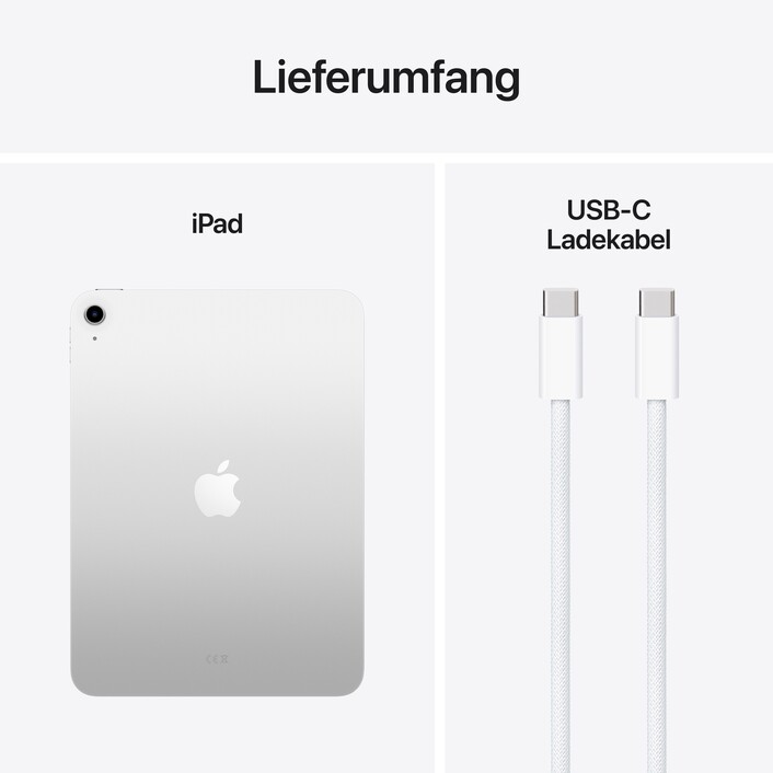 iPad Wi-Fi 256 GB - Silber (A16)