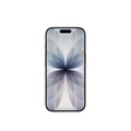 iPhone 17 256 GB Schwarz 