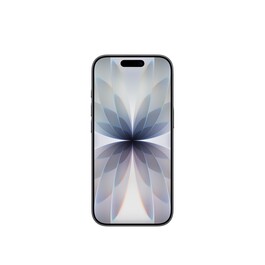 iPhone 17 256 GB Schwarz 