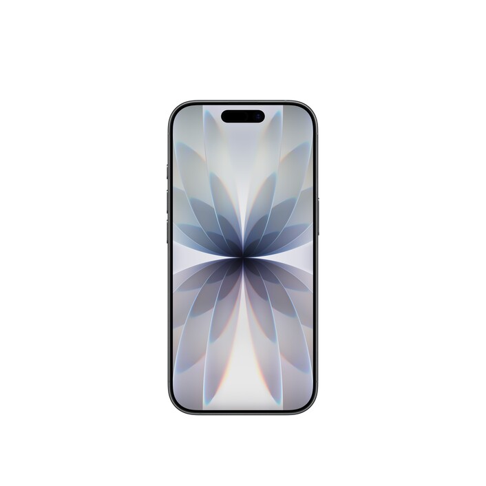iPhone 17 256 GB Schwarz 
