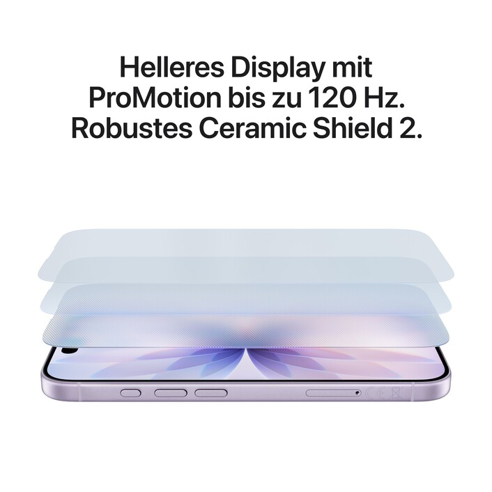 iPhone 17 256 GB Schwarz 