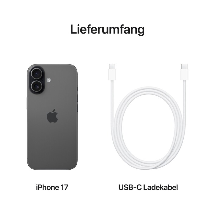 iPhone 17 256 GB Schwarz 
