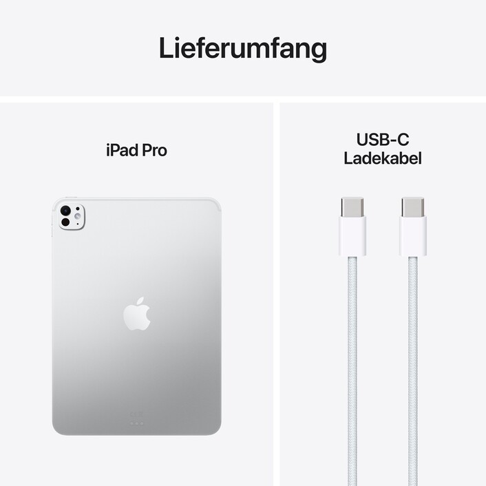 11" iPad Pro Wi-Fi 256 GB Standardglas - Silber (M5)