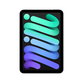 iPad mini Wi-Fi + Cellular 128 GB - Space Grau (A17 Pro)