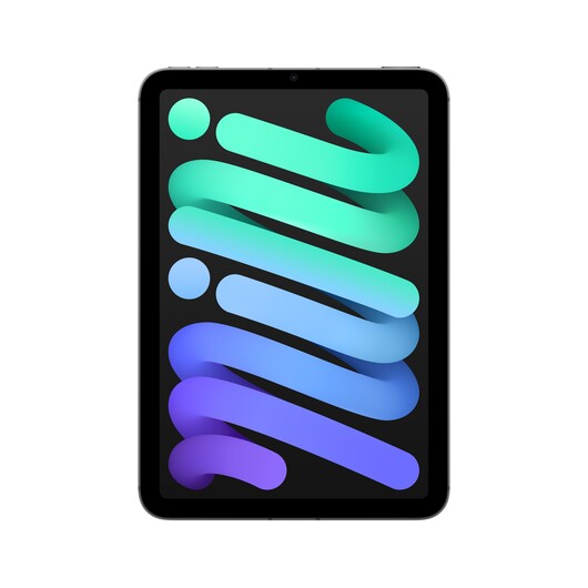 iPad mini Wi-Fi + Cellular 128 GB - Space Grau (A17 Pro)