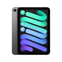 iPad mini Wi-Fi + Cellular 128 GB - Space Grau (A17 Pro)