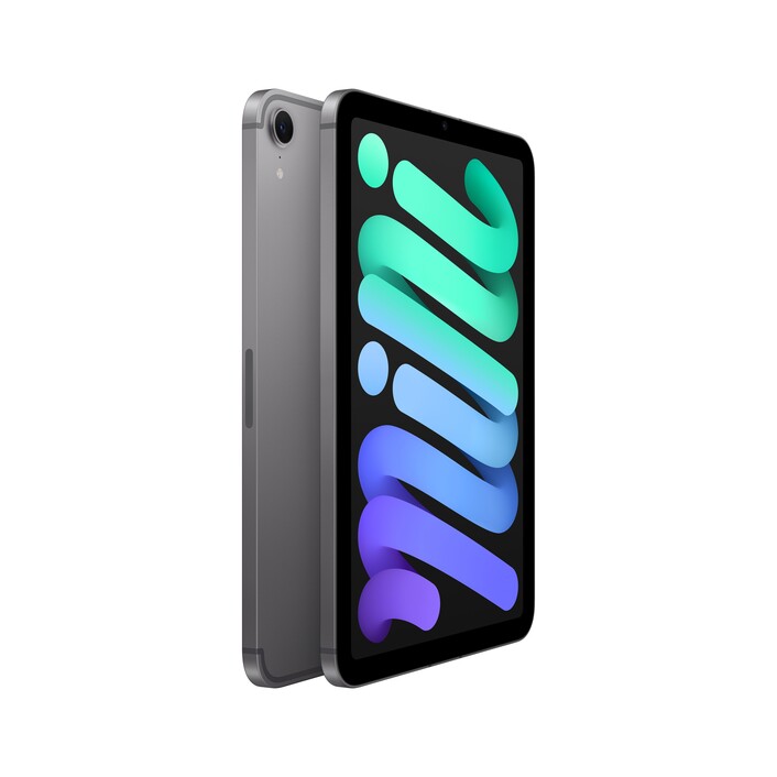 iPad mini Wi-Fi + Cellular 128 GB - Space Grau (A17 Pro)