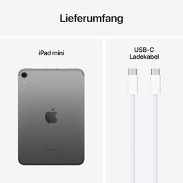 iPad mini Wi-Fi + Cellular 128 GB - Space Grau (A17 Pro)