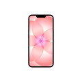 iPhone 17e 512 GB Zartrosa 
