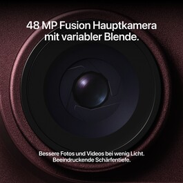 iPhone 18 Pro 256 GB Burgunder